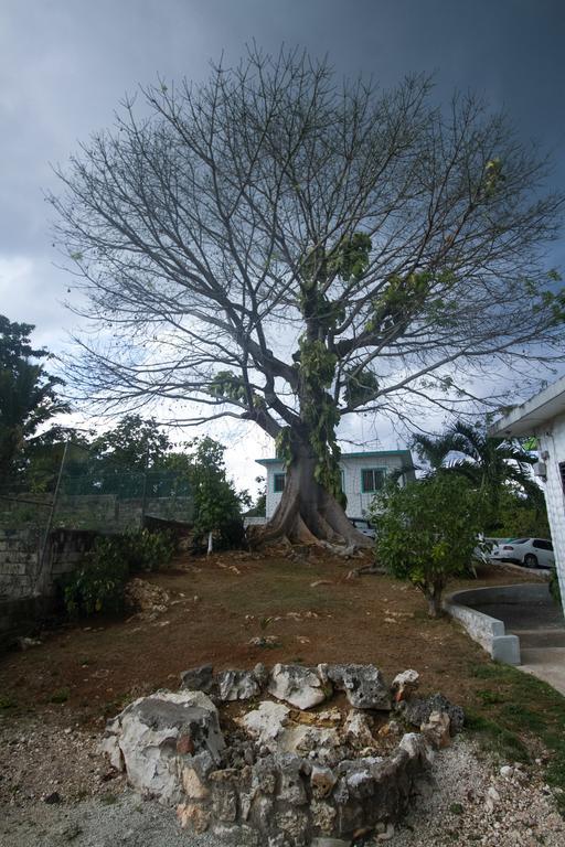 Rocky Top Retreat Negril Exterior foto